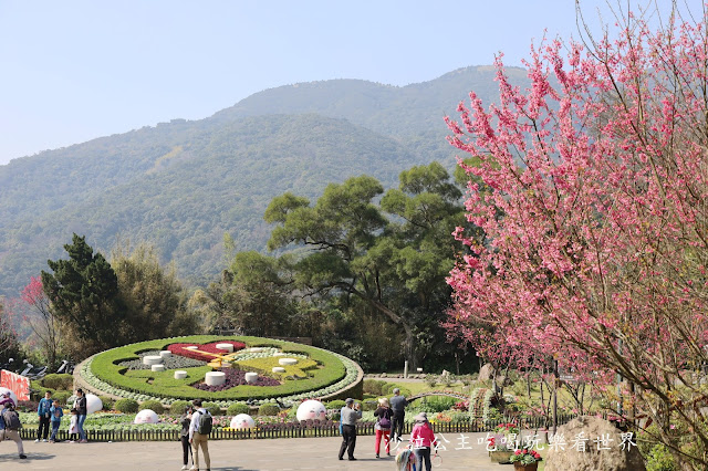 台北景點『陽明公園』陽明山花季/北投景點/櫻花季