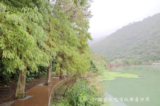 宜蘭員山免費景點『望龍埤』下一站幸福偶像劇拍攝場景花田村.落羽松