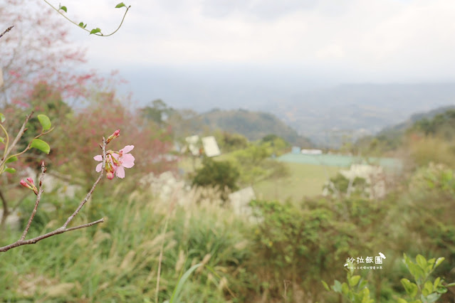 苗栗景點琉璃秋境、大湖薑麻園，帳篷野餐咖啡、窯烤披薩