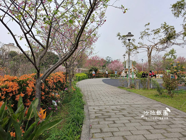 鶯歌景點『鶯歌永吉公園』炮仗花、3D步道、迴旋溜滑梯特色公園