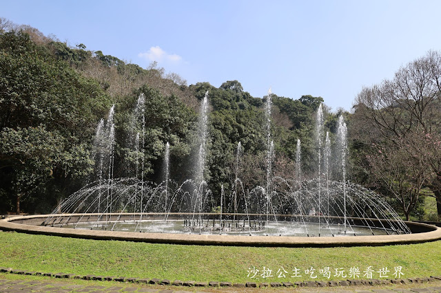 台北景點『陽明公園』陽明山花季/北投景點/櫻花季