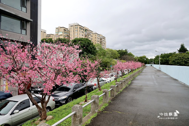 在市區就能賞櫻搭捷運就會到，假日就帶小孩來這放風