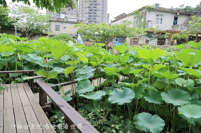 新竹竹北景點免門票『新瓦屋客家文化保存區』文青打卡景點