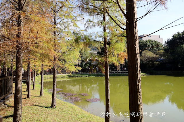 士林景點『原住民文化主題公園』IG打卡熱點/網美必拍/士林落羽松