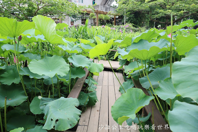 新竹竹北景點免門票『新瓦屋客家文化保存區』文青打卡景點