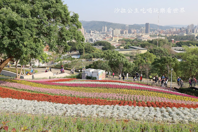 加碼鬱金香/迷你台版富良野『北投社三層崎公園』紫色薰衣草／北投景點