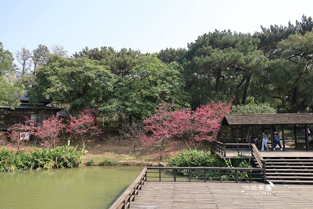 新竹景點『新竹公園』新竹人約會勝地，親子同遊