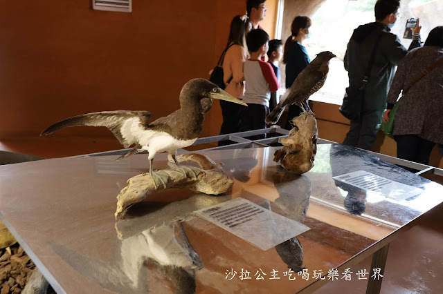 全台最老動物園『新竹動物園』全新打造沒有籠子友善動物園/新竹景點