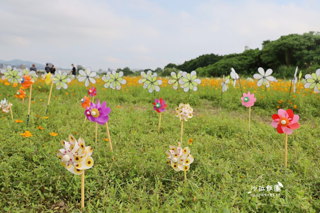 免費入場【2021愛戀關渡花現幸福】5公頃大片花海，北投景點