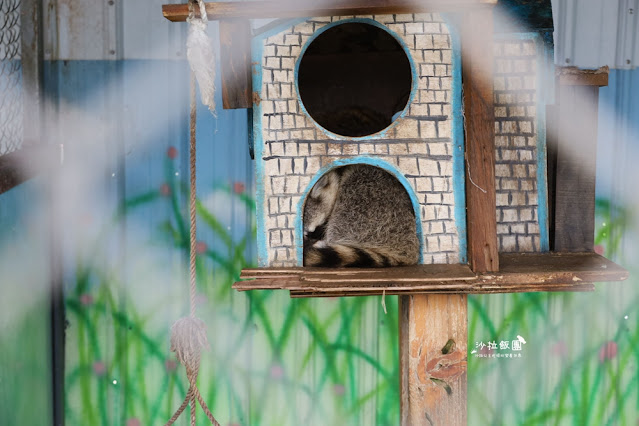 花蓮日式庭園景觀『張家的樹園』餵動物梅花鹿、草泥馬