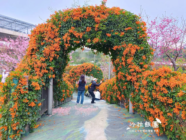 鶯歌景點『鶯歌永吉公園』炮仗花、3D步道、迴旋溜滑梯特色公園