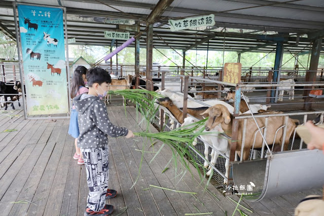 宜蘭景點『宜農牧場』門票100元、餵動物體驗、遊具、親子農場