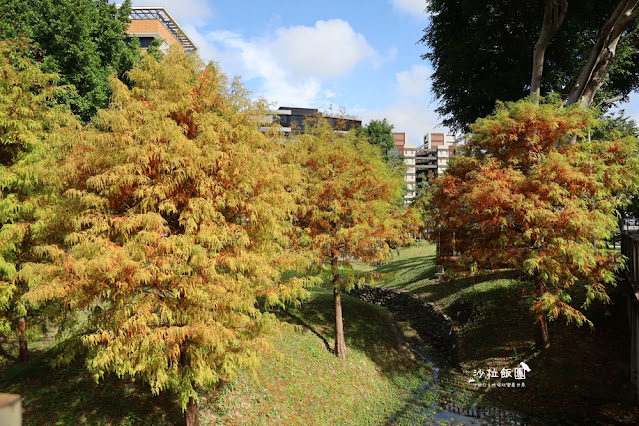 北投奇岩一號公園、落羽松、共融式兒童遊樂場、生態池