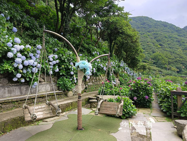 竹子湖繡球花『名陽匍休閒農莊』海芋、繡球花一起賞