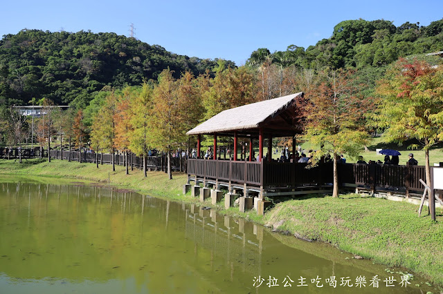 士林景點『原住民文化主題公園』IG打卡熱點/網美必拍/士林落羽松