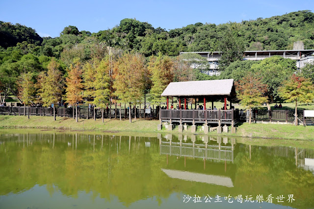 士林景點『原住民文化主題公園』IG打卡熱點/網美必拍/士林落羽松