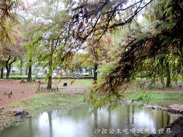 宜蘭羅東落羽松『羅東運動公園』冬季限定/宜蘭羅東景點