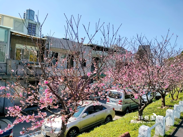 在市區就能賞櫻搭捷運就會到，假日就帶小孩來這放風