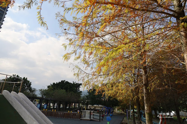 頭城景點頭城最新特色公園『頭城運動公園』宜蘭最美的共融公園、落羽松