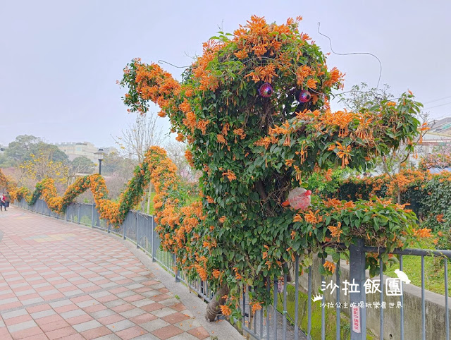 鶯歌景點『鶯歌永吉公園』炮仗花、3D步道、迴旋溜滑梯特色公園