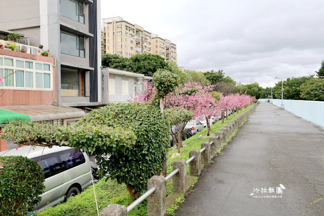 在市區就能賞櫻搭捷運就會到，假日就帶小孩來這放風