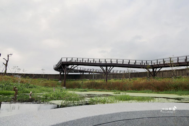 士林最新景點‼️雙溪濕地公園，制高點展望平台