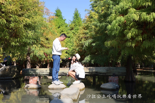 台中落羽松.后里泰安落羽松秘境『羽粼落羽松』裝置藝術像走到畫裡