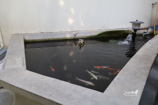 台菜吃到飽『款待台菜經典手路菜吃到飽』中山美食酒家菜魷魚螺肉蒜、菜單