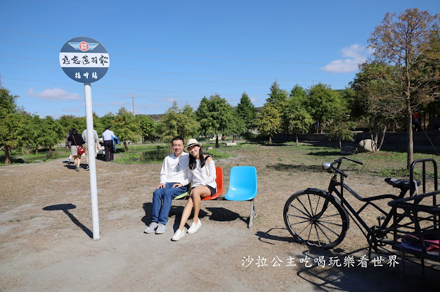 台中落羽松.后里泰安落羽松秘境『羽粼落羽松』裝置藝術像走到畫裡