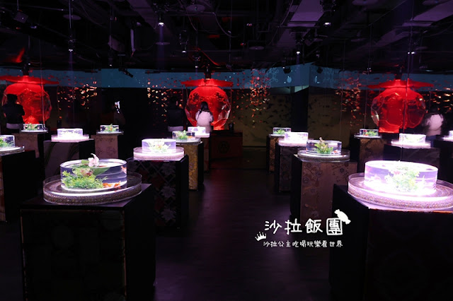 日本東京人氣展覽『金魚藝術展』璀璨登台