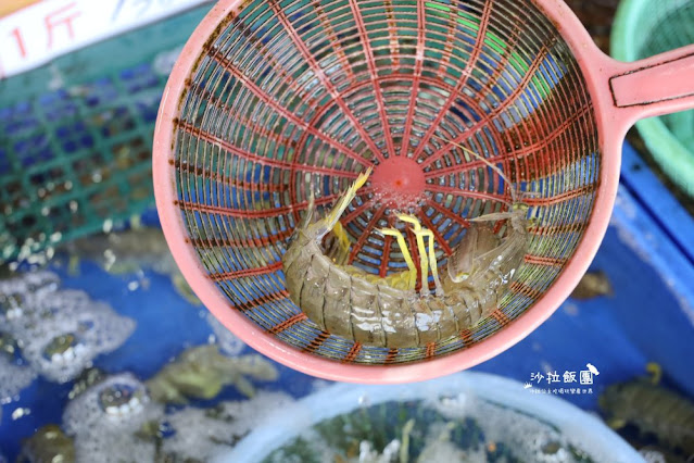 淡水美食『大胖活海產』漁人碼頭人氣美食、浪漫玻璃屋、海景餐廳