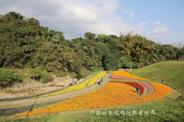 內湖景點『大溝溪親水公園』免費玩水/萬株花海捷運大湖公園站