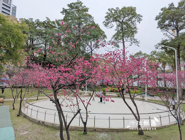 士林特色公園『前港公園』共融遊戲場、天空樹遊戲場溫水游泳池、士林宣原蛋糕專賣店、停車場