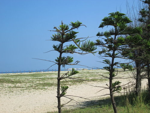 澎湖之旅-吉貝島