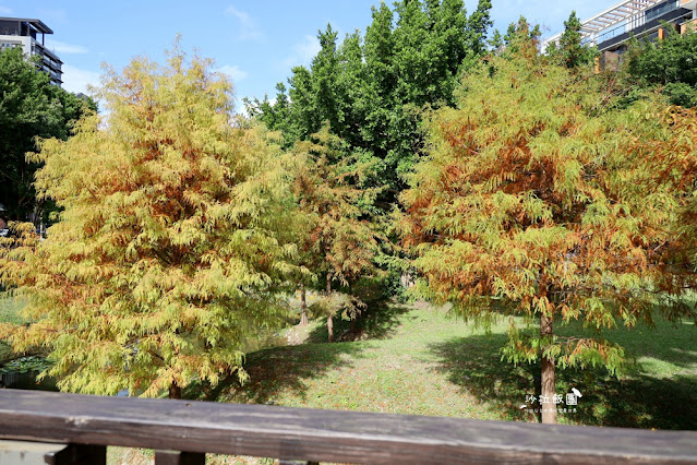 北投奇岩一號公園、落羽松、共融式兒童遊樂場、生態池