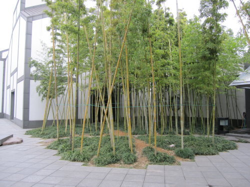 【江南遊】蘇州博物館&烏鎮午餐