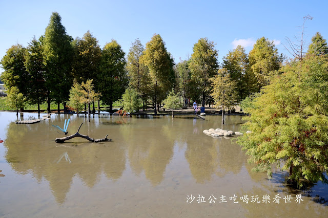 台中落羽松.后里泰安落羽松秘境『羽粼落羽松』裝置藝術像走到畫裡