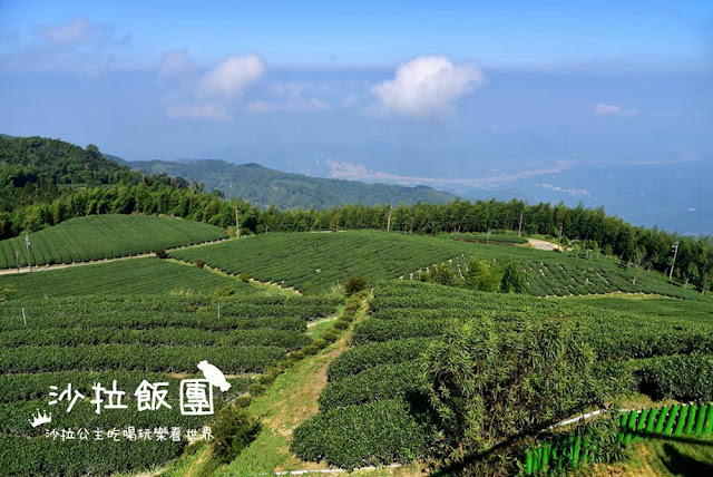 古坑最新包棟住宿『永利飯店新館』北歐風純白建築、玻璃屋山景