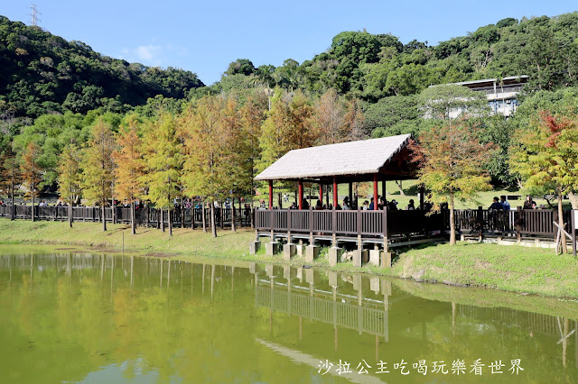 士林景點『原住民文化主題公園』IG打卡熱點/網美必拍/士林落羽松