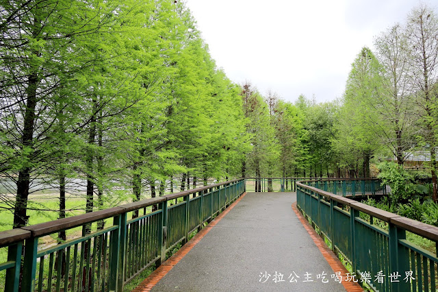 日月潭腳踏車出租推薦『日月潭趴趴走自由行』向山遊客中心車/協力車/腳踏車/電動車/自行車步道