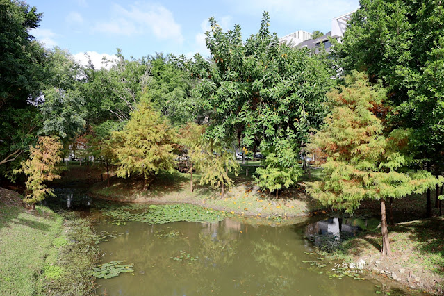 北投奇岩一號公園、落羽松、共融式兒童遊樂場、生態池