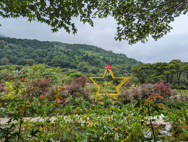 竹子湖土雞『苗榜海芋花園餐廳』繡球花、海芋、土雞