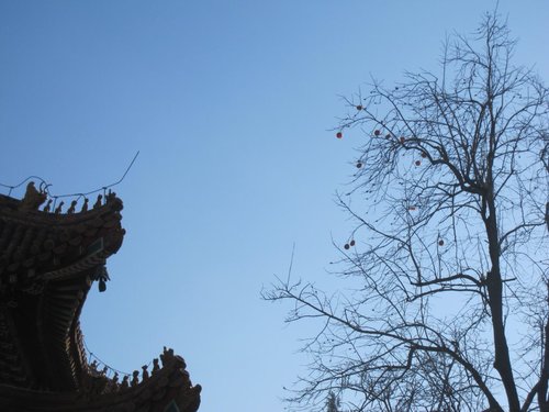 北京旅遊/北京景點『雍和宮』