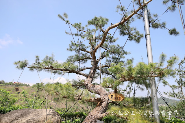 南投景點『Hohocha喝喝茶/台灣香日月潭紅茶廠』免費奉茶.奉蛋體驗