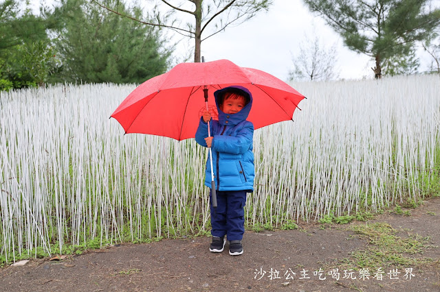 宜蘭壯圍景點『慢行沙丘-2019壯圍沙丘地景藝術節』壯圍沙丘旅遊服務園區