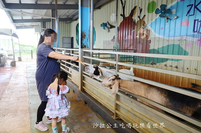 宜蘭礁溪景點『水鹿咖啡親子餐廳』迷你馬.水鹿.沙坑.小火車.賽車場.菜單