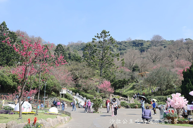 台北景點『陽明公園』陽明山花季/北投景點/櫻花季