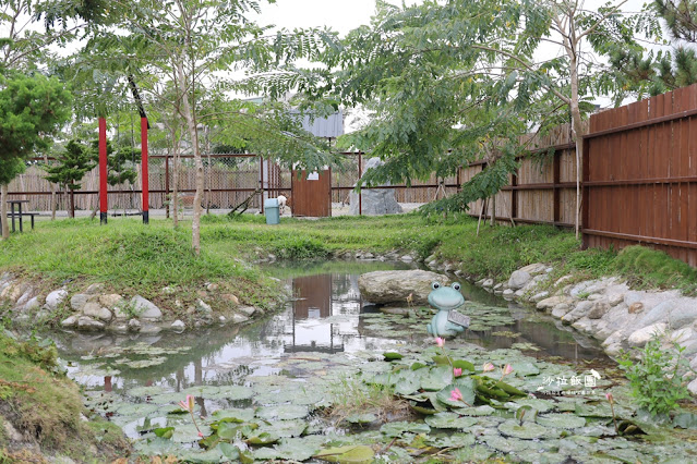 花蓮日式庭園景觀『張家的樹園』餵動物梅花鹿、草泥馬