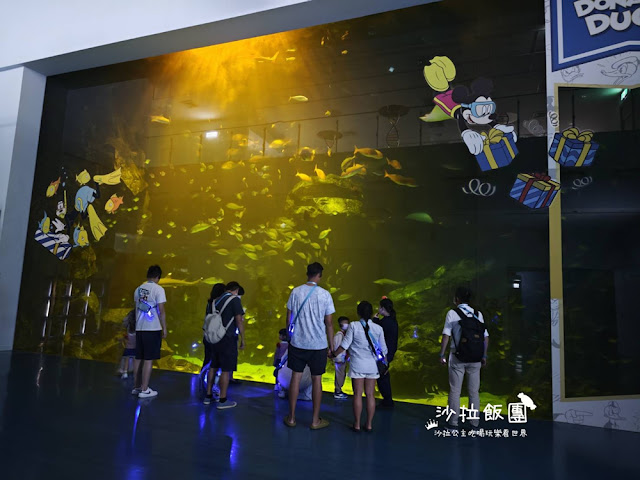 全台最頂級夜宿水族館！桃園和逸Blu Night宿海奇遇》Xpark住一晚