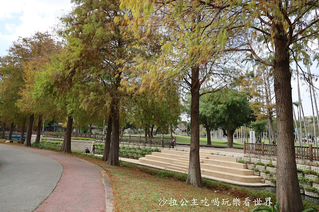 士林景點/台北人不用跑遠『士林官邸落羽松』.梅花.落羽松一起看